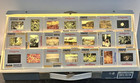 Lot 100 Mixed Vintage 1990s 35mm Slides Landscapes Birds Animals Flowers Nature