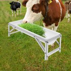 Livestock Feed Trough  Long Large Capacity Feeder  Feed Trough With Stand