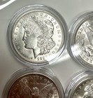 1921 P Morgan Silver Dollar Brilliant Uncirculated Bu - Lot Of 4 In Capsules