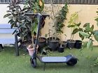 Used A6l Max 10 4ah Folding Adult Electric Scooter Urban Commuter Escooter 500w