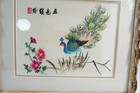 Chinese Embroidery Peacock Framed 16 75  X 14 25  Rb689
