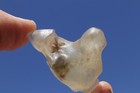 Libyan Desert Glass Meteorite Tektite 16 2 Grams 1 5 Inch