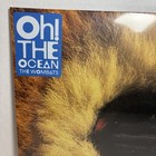 The Wombats Oh  The Ocean Clear Vinyl Record Lp - Brand New   Sealed