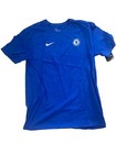 Nike Christian Pulisic  22 Chelsea Soccer Jersey Tee Shirt Blue Sz M