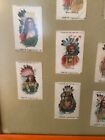 Collection Of 25 Native American Tokio   Sovereign Tobacco  Silk Cigarette Cards