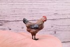 Wonderful Antique Austrian Vienna Cold Painted Bronze Figure Of Brown Hen