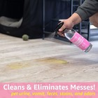 Pet Stain And Odor Remover - Cleans And Deodorizes Indoor Home Surfaces remov   