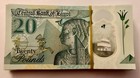 Egypt 20 Pound Banknotes Bundle     50 Consecutive Notes  1000 Pounds  