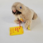 Vtg Steiff Plush Wally Walrus Plush 6  Stuffed Mini Button Tags 1474 10 Germany