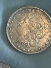 Lot Of 5 1878-1893 Cc  1 Morgan Silver Dollar American Coins - Bu Condition