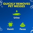 Oxiclean Carpet And Rug Pet Stain And Odor Remover Spray  24 Fl Oz