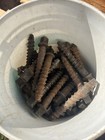Lot Of 35 Railroad Screw Spikes