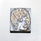 Vintage Letterpress Printing Block Lot 4 Woman Face Girl Couple