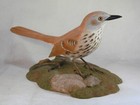 Brown Thrasher  Original Wood Carving