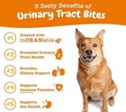 Zesty Paws Urinary Cranberry Bites For Dogs Bladder 90 Pcs Chicken Flavor 4 26