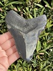 Natural Beautiful 4 32    Megalodon Tooth Fossil Shark Teeth