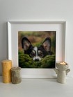 Custom Pet Portrait From Photo     Original Hand-painted Painting Of Your Pet  a4 
