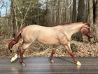 Breyer Traditional Model Horse Bet Yer Blue Boons  715 Roxy Matte Red Roan