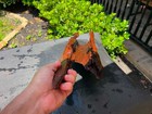 Natural Malaysian Driftwood Aquarium Reptile Terrarium Garden Decor