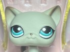 Authentic Rare Lps Littlest Pet Shop  391 Egyptian Shorthair Gray Cat Blue Eyes
