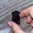 Little Gem Miniature Teddy Bear 1994 Black Teddy Bear
