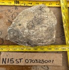 Stromatolite Fossil Wyoming 11 Pounds