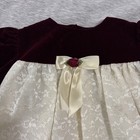 Vintage Rose Cottage Velvet Lace Baby Girl Dress Fancy O-3 Months