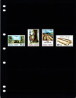  1 50 Scott Value  - 1971 Samoa Timber Hardwoods Industry Woods Cv Mnh Nh Umm