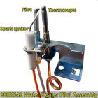 9003542 Nat Gas Pilot Assembly Replacement For 18324-190 100109295 9003542005 Co