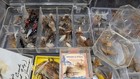 Vintage Flies Lot Of 175  Most Dry 1 3 Wet 1960s-1990s Trophy Box See All Pics 