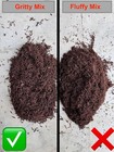 Tree Fern Fiber     Double Processed Gritty Grade For Orchids  Aroids   Tropicals