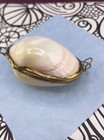 Vintage Handcrafted Clam Natural Sea Shell Trinket 
