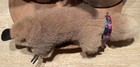 Vintage Platypus Real Fur 1960s Plush Stuffed Animal Collectable From Australia