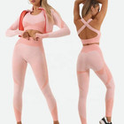 Seamless Girls Yoga Set Workout Sportswear Gym Clothing Fitness Long Sleeve Top