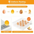 64 Digital Eggs Incubator Egg Hatcher With Temperature Control Automatic Turner 