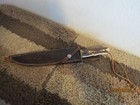 Bowie Knife Buchan Custom Fixed 14 5 Oal 9 5 Blade Stag  Antler Handle Beauty