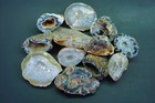 Oco Geodes 1 Lb Lot Natural Crystal Agate Druzy Halves Polished Front Edge