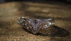 Become A Member Of The Secret Vampire Clan Metaphysical Ring Of Power