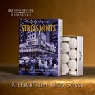 Stress Mints  3 Pack    Homeopathic Lozenges To Aid Stress   Digestion  Organ   