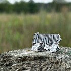 Pennsylvania  Enamel Lapel Pin     Collectible State Souvenir