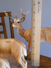 3 - Vintage Breyer Deer Family Buck Doe And Fawn