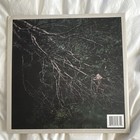 Dealer  - Foxing Lp Green Colored Vinyl Triple Crown Records Rock