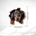 Skyolla 3d Wall Stickers Animal Cartoon Pvc Vinyl Decal Pack Of 2  45x45 Cm 