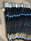 Princeton Aspen Long Handle Oil Paint Brushes - Lot Of 31  Brand New