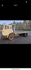 International Cargostar Truck