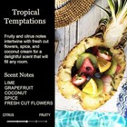 2025 Phd Graduation Gifts For Her  Him  Funny Grad Candle  College  High 