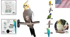 Easy Install Manzanita Bird Perch 8  - Non-toxic Pedicure For Optimal Health