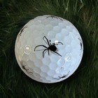 Taylormade Tp5 Tour Preferred 5-piece Golf Ball White black Spider Logo-5a