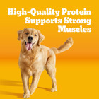 Pedigree High Protein Grilled Steak   Vegetable Flavor Adult Dry Dog Food  18 Lb