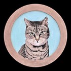 Custom Pet Portrait 6x6        Hand-painted Acrylic Pet Painting From Your Photo